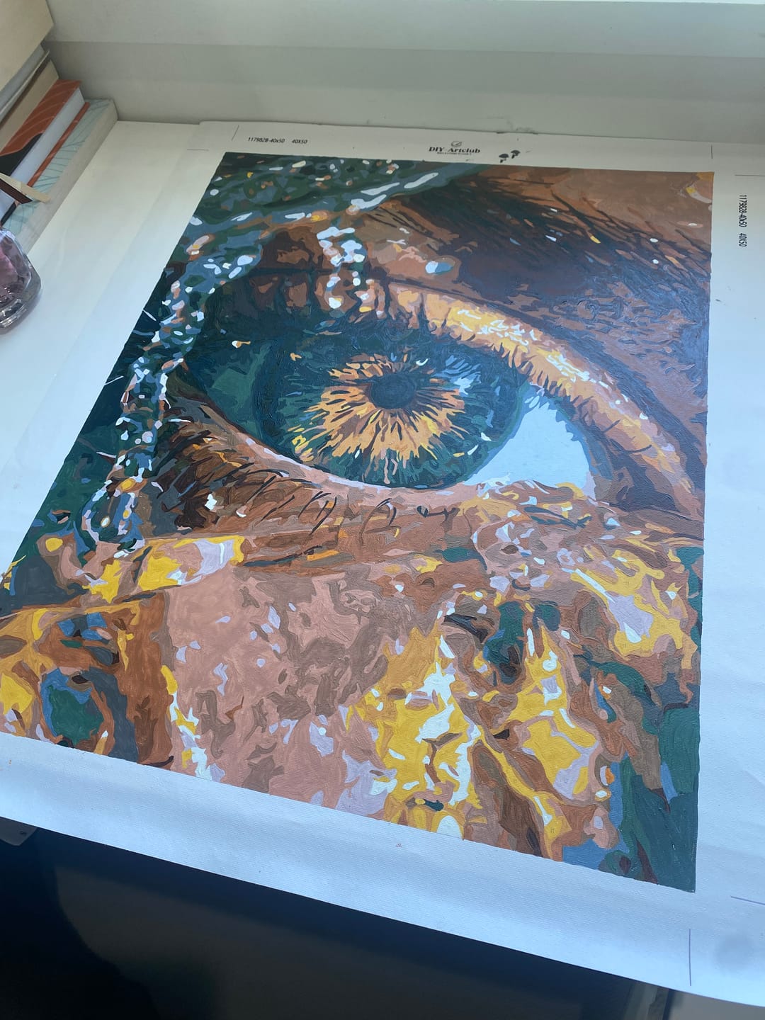 Customer photo review of Emerald Gaze | Paint by Number