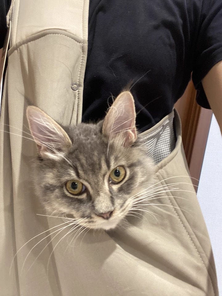 Customer photo review of Portable Pet Sling Carrier Bag With Pocket