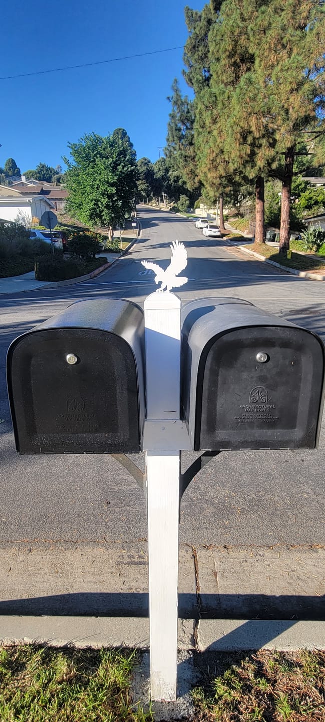 Customer photo review of Eagle Fence Post Cap (Multiple Post Sizes Available)