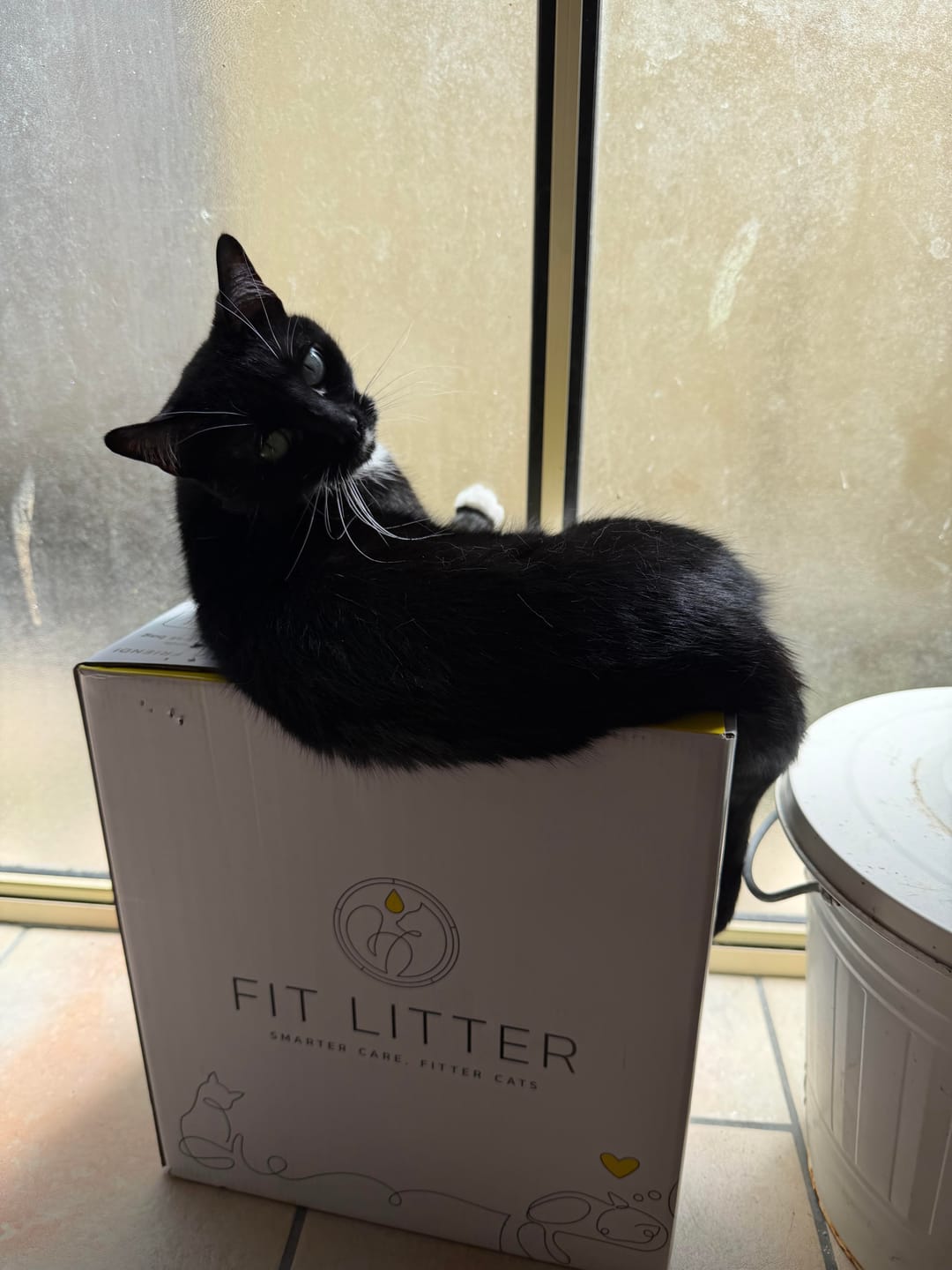 Customer photo review of Fit Litter