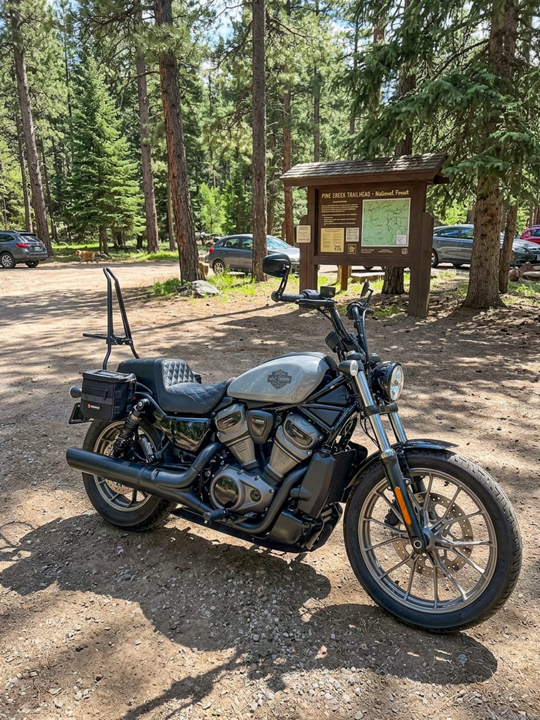 Customer photo review of 8L - Patriot Small Throw Over Saddlebags for Harley Nightster RH975/S
