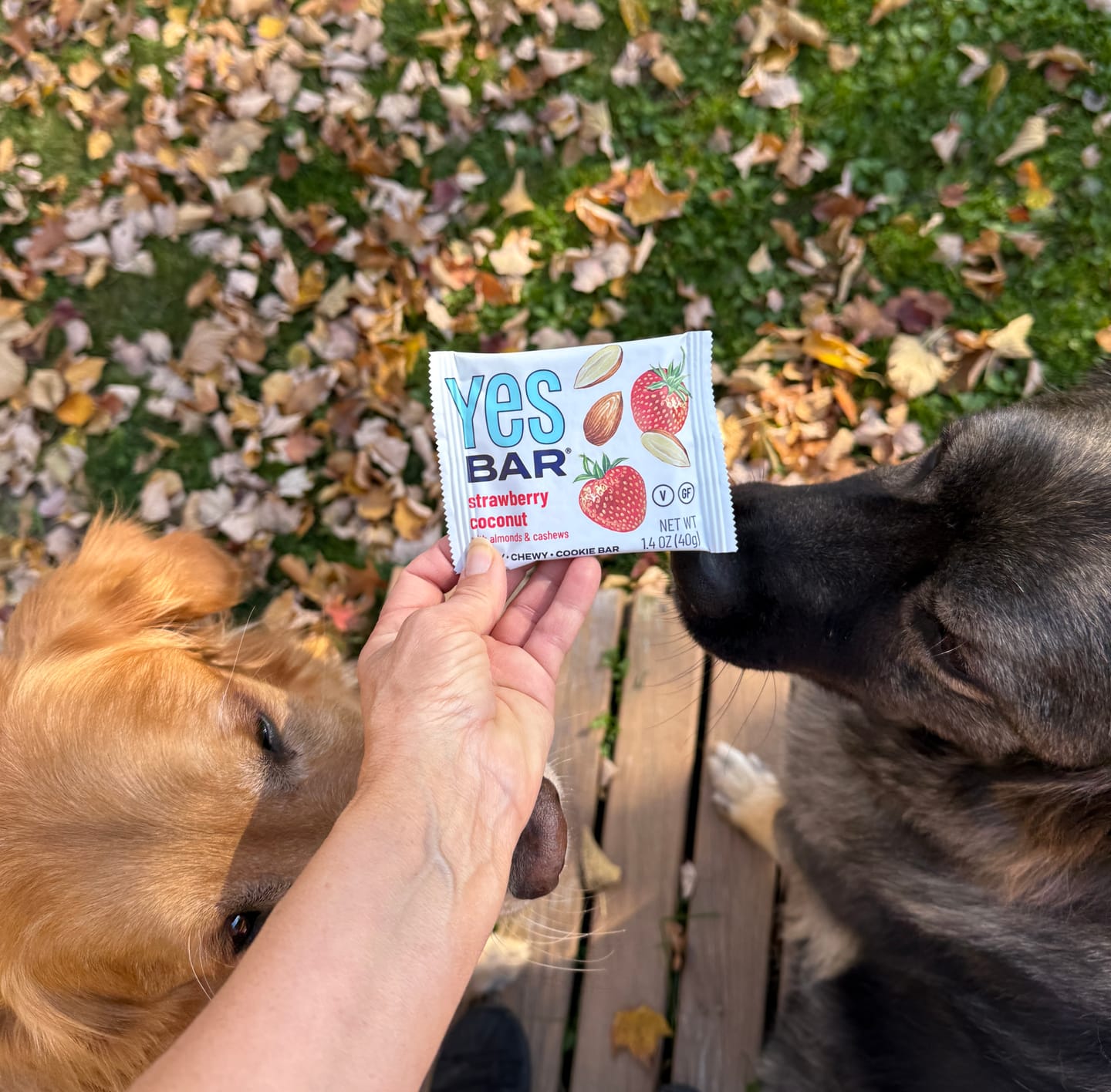 Customer photo review of Strawberry Coconut Six Pack