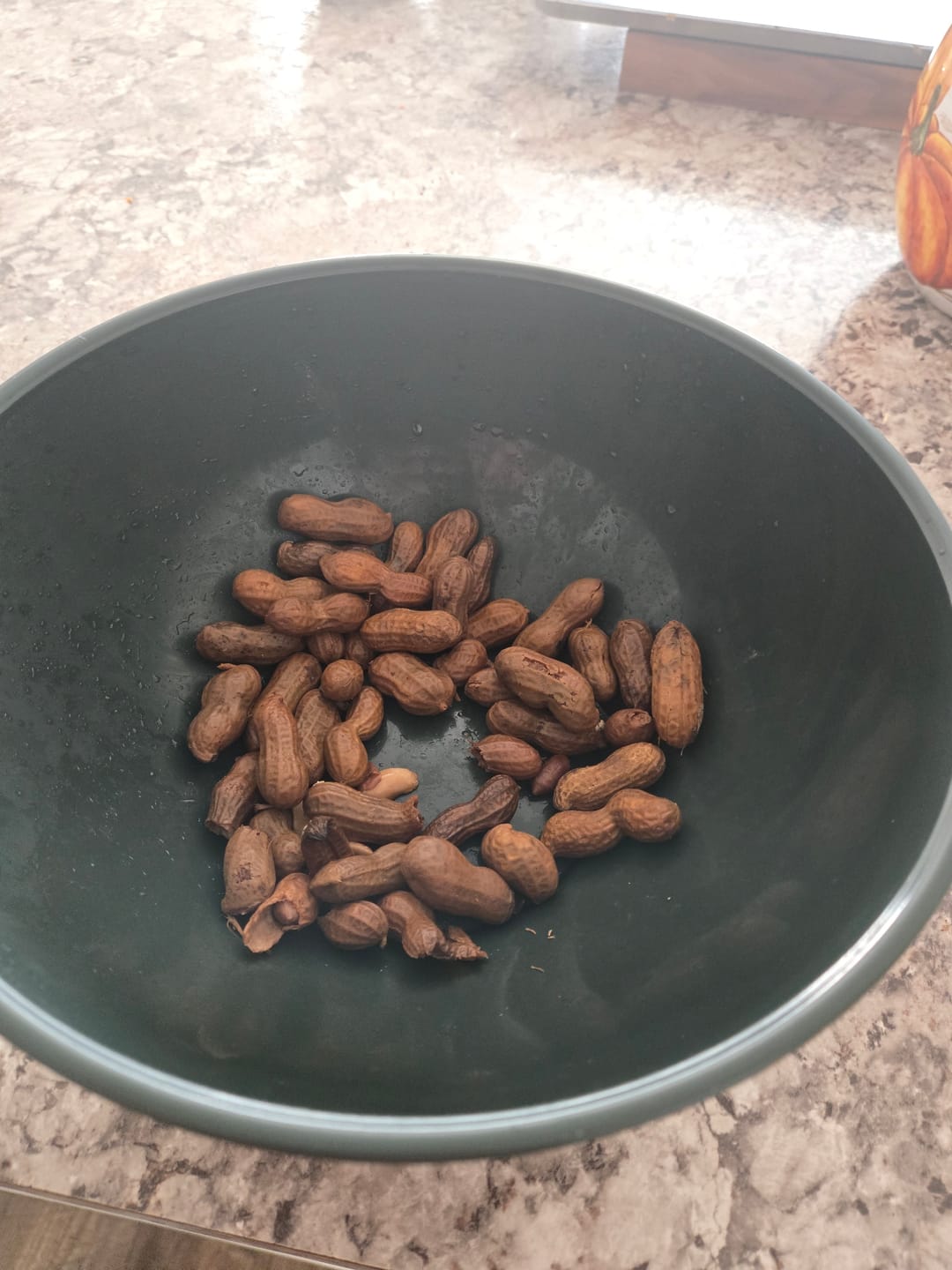 Customer photo review of Boil-The-Bag Sampler Pack