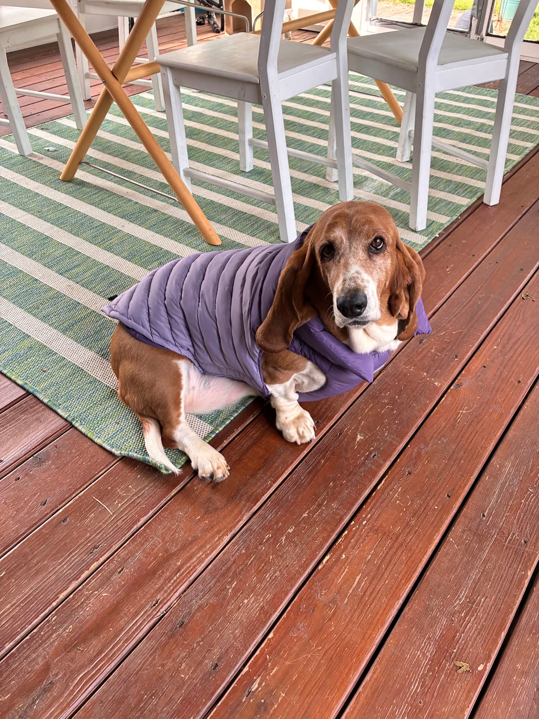 Customer photo review of PuffShield Winter Jackets