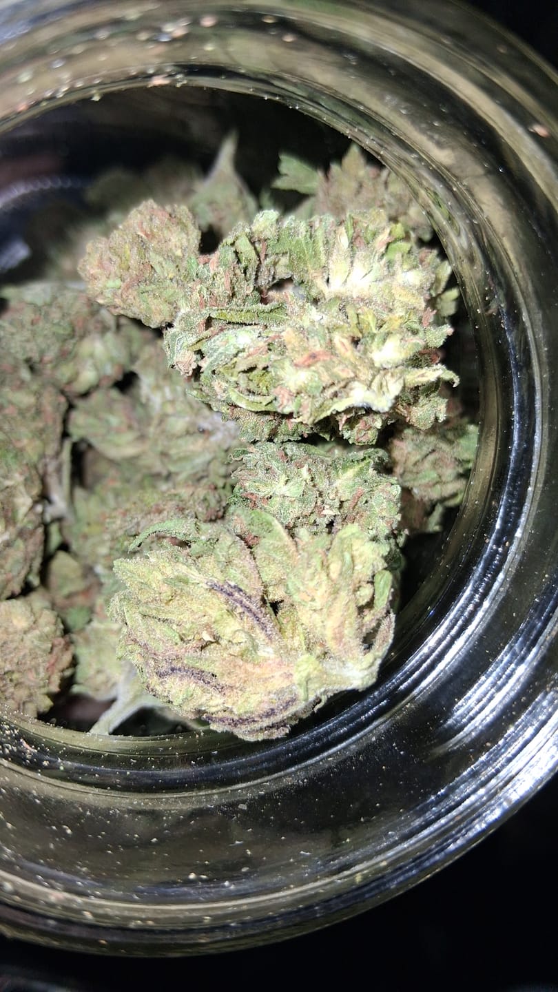 Customer photo review of Cheap THCA Flower Quarter Pound
