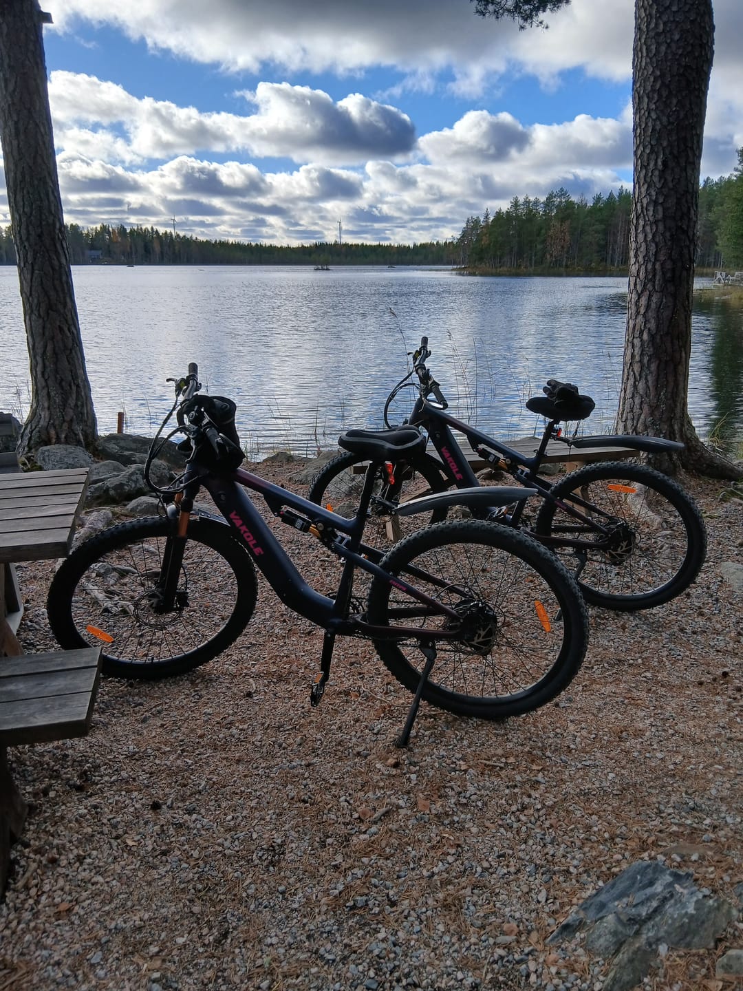 Customer photo review of Vakole EMT29 12s 250W 29" E-Mountain Bike 691Wh Cross-Country Full Suspension EMTB with Torque Sensor 48V 14.4Ah Battery