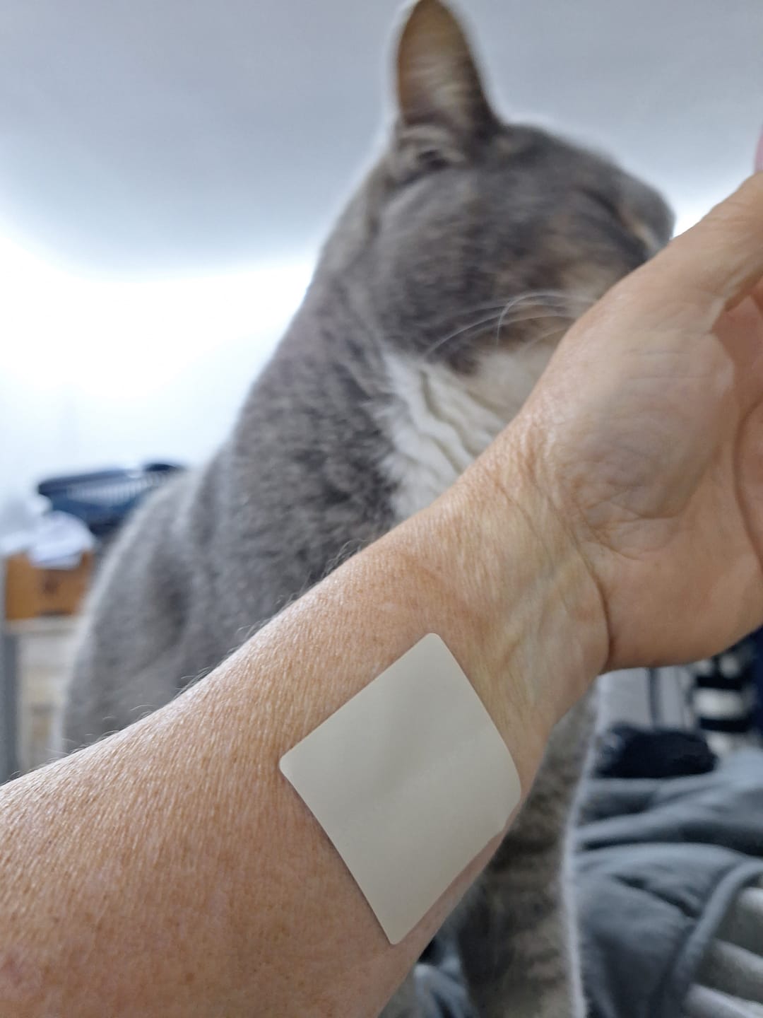 Customer photo review of mussage 8 Hour Sleep Patch