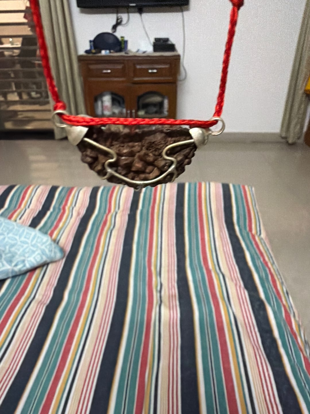 Customer photo review of Original Indian 1 Mukhi Rudraksha