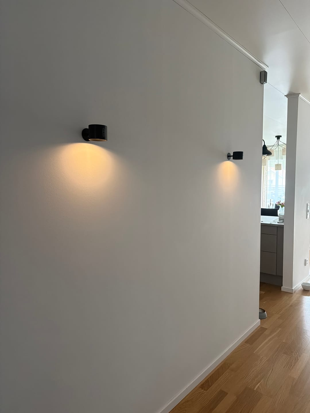 Customer photo review of LumiHalo