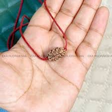 Customer photo review of South India Origin 2 Mukhi Rudraksha – 100% Natural & Certified