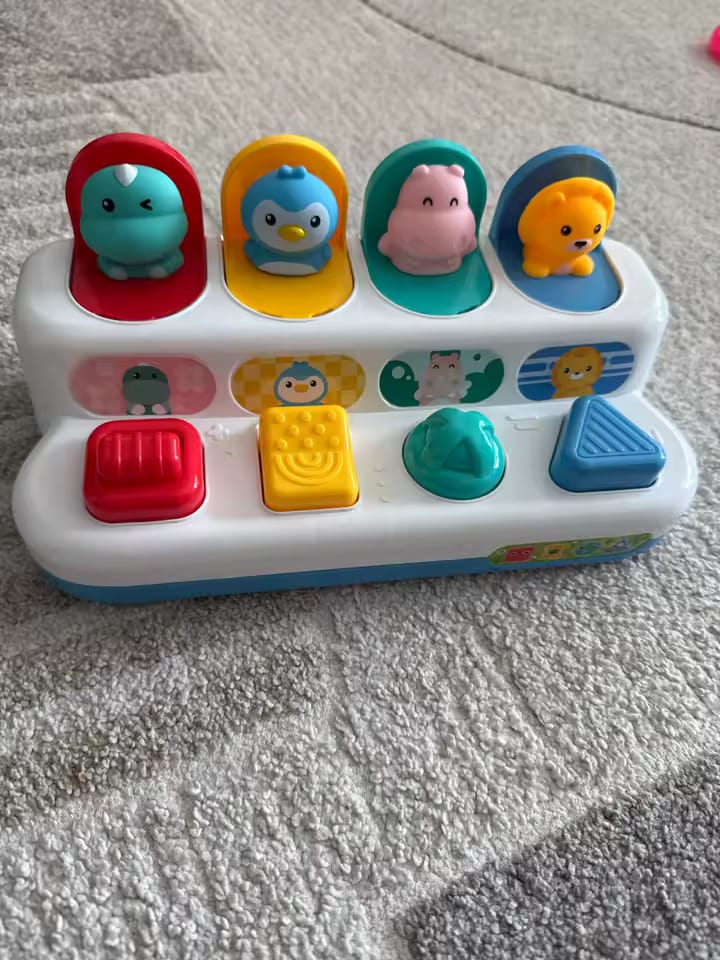 Customer photo review of Montessori Pop Up™- Animali Nascosti