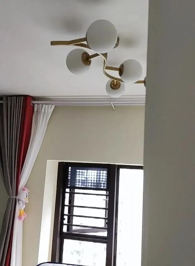 Customer photo review of Glass Globe Ceiling Light, Curving Branch Iron Arms, 66–110 cm