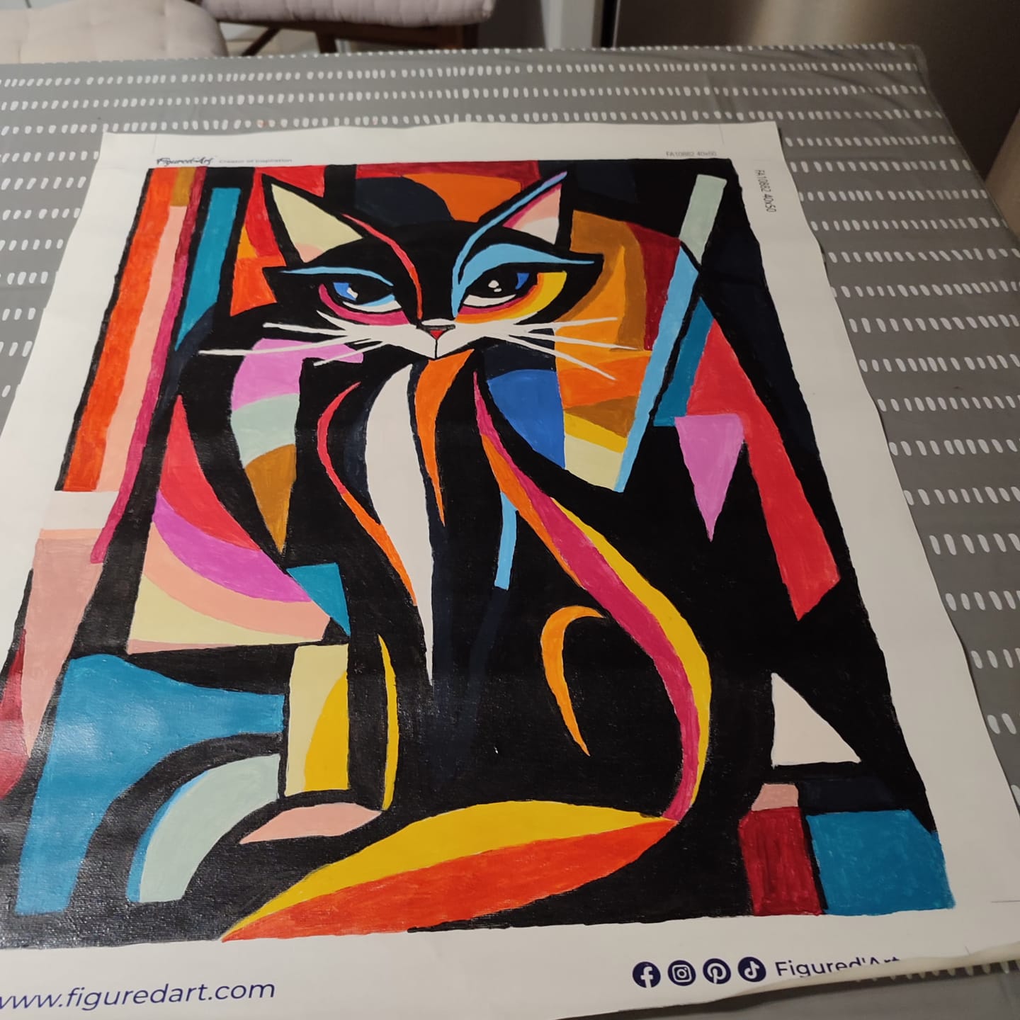 Customer photo review of Chat Abstrait Éclatant