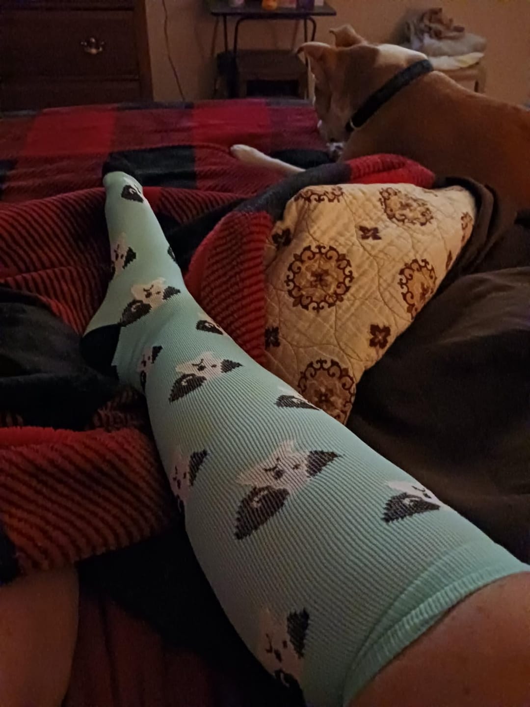 Customer photo review of Bamboo Brown Compression Socks