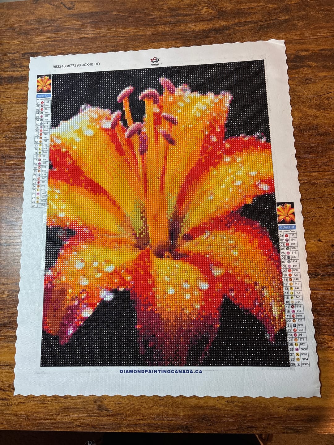 Customer photo review of Dew Drop Lily (Diamond Painting)