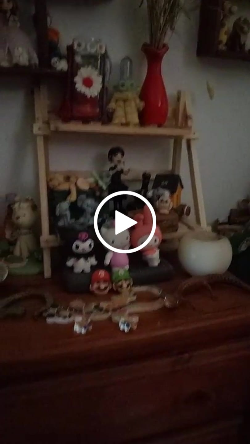 Customer video review of Estanteria de Madera 2 Niveles para Escritorio