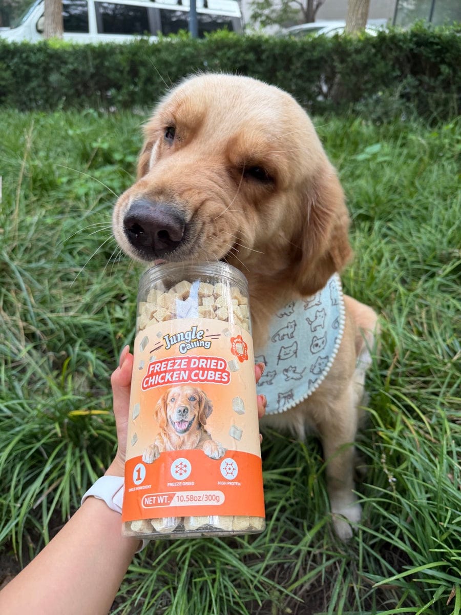 Customer photo review of Freeze-Dried Chicken Cat & Dog Treats, 10.58 oz