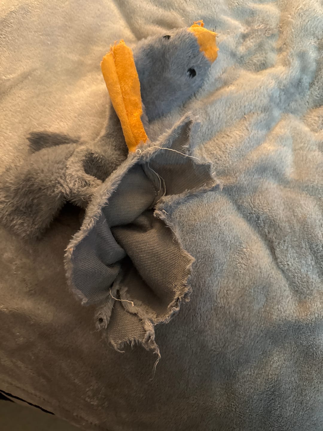 Customer photo review of 50cm Soft Anxiety Reducing Colorful Duck Plush Toy for Dogs | Dog Toys