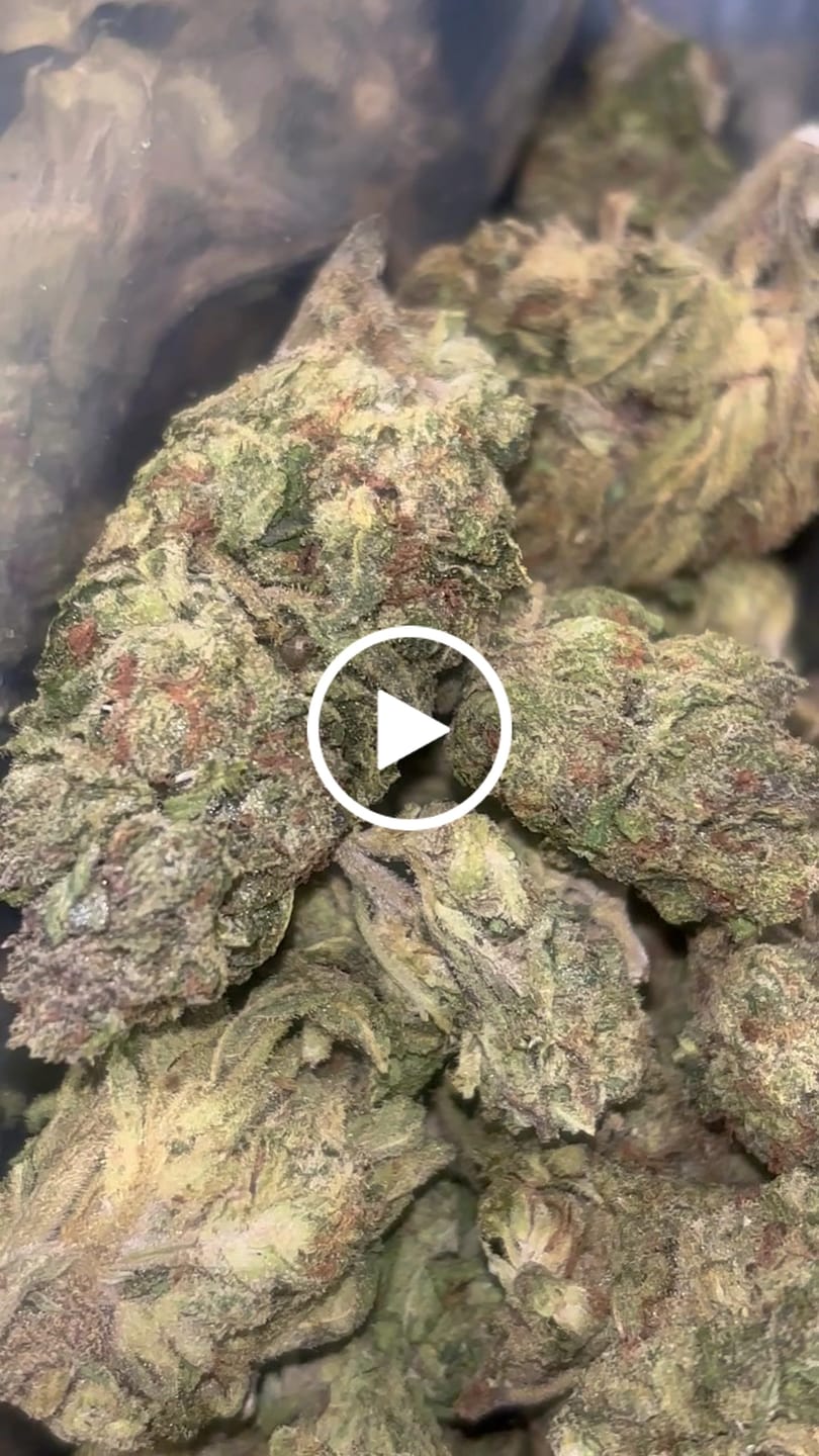 Customer video review of Cheap THCA Flower Ounce