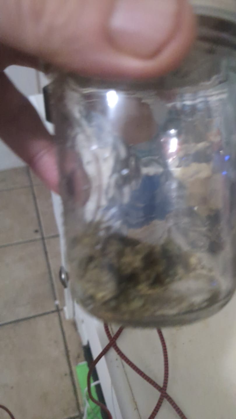 Customer photo review of Boss Crazy Shake 5OZ (Special)
