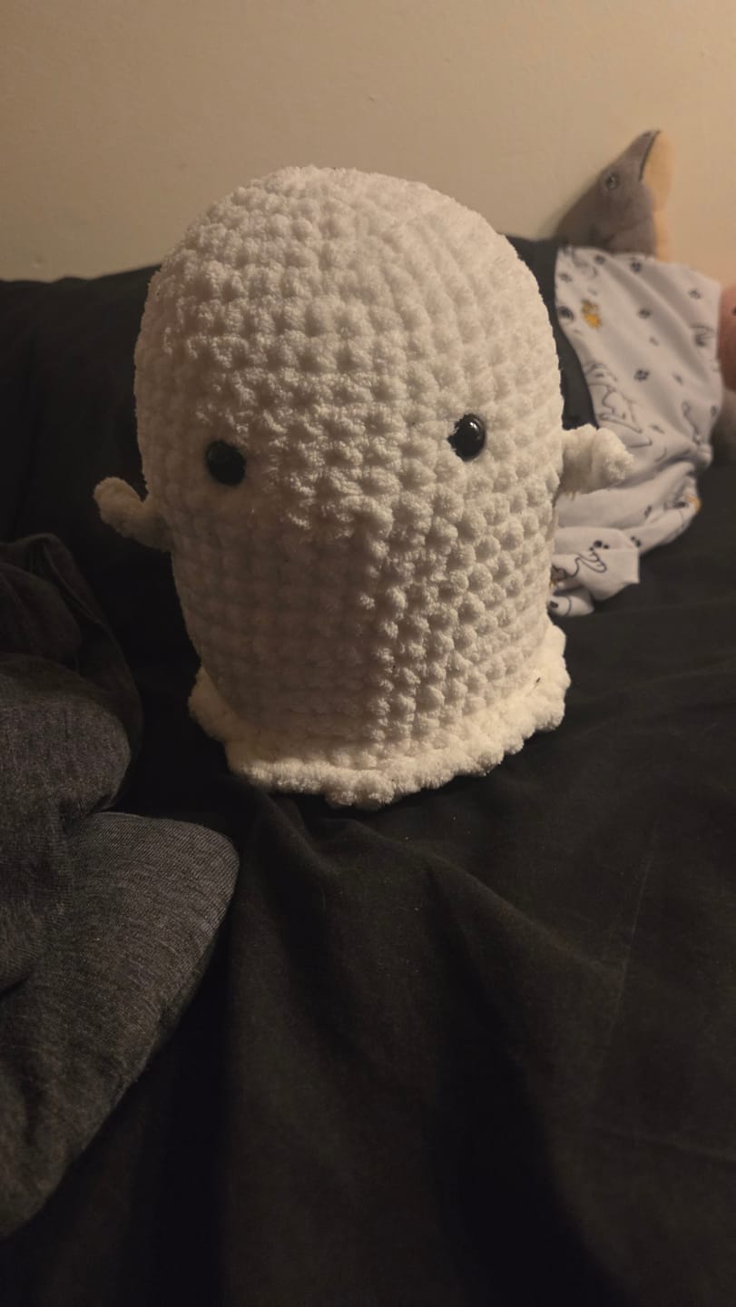 Customer photo review of Ghost