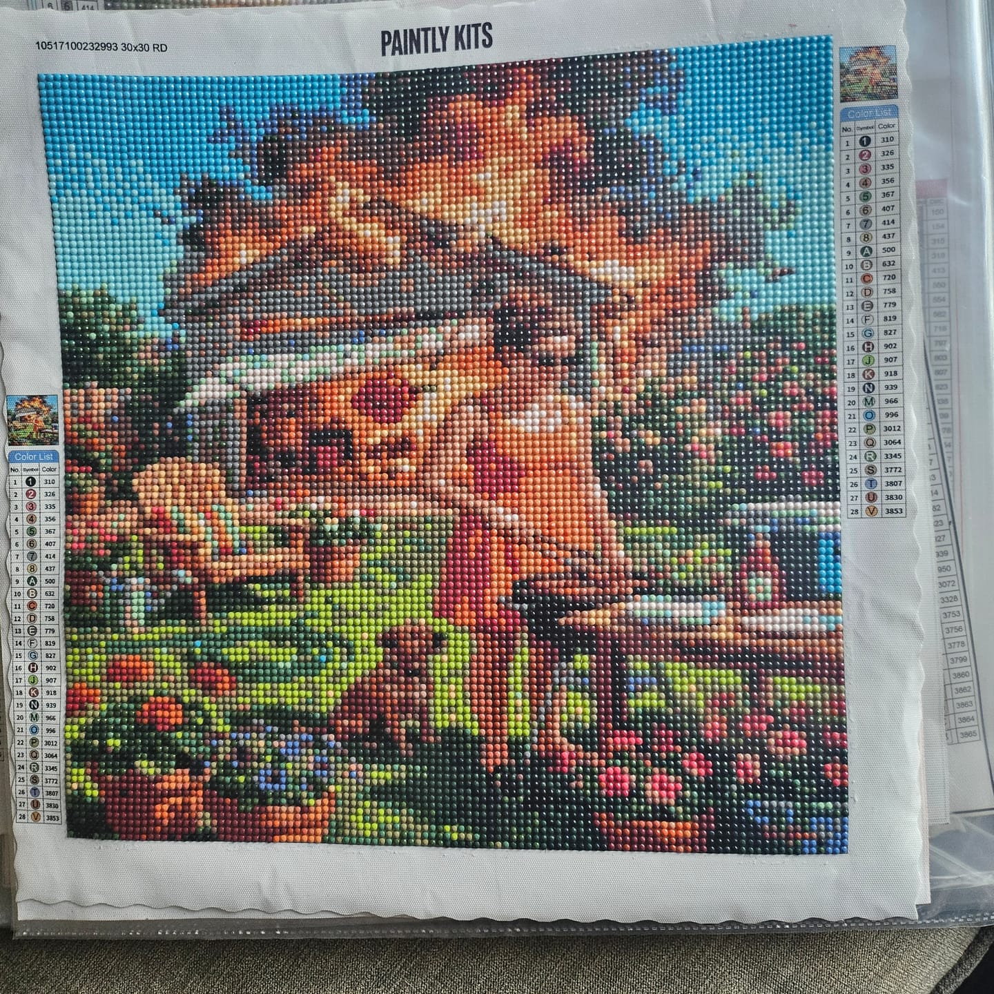 Customer photo review of Garage Blowout (Diamond Painting)