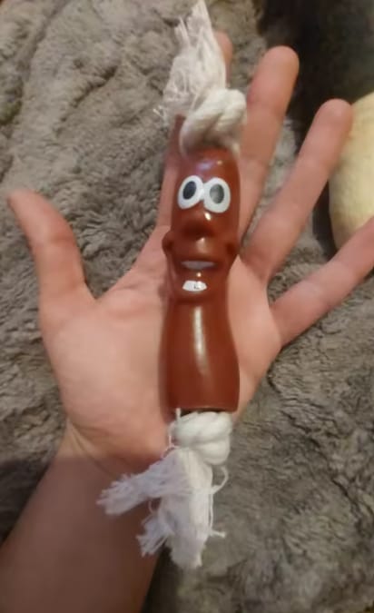 Customer photo review of Chew Toy That Saves Your Shoes & Cables