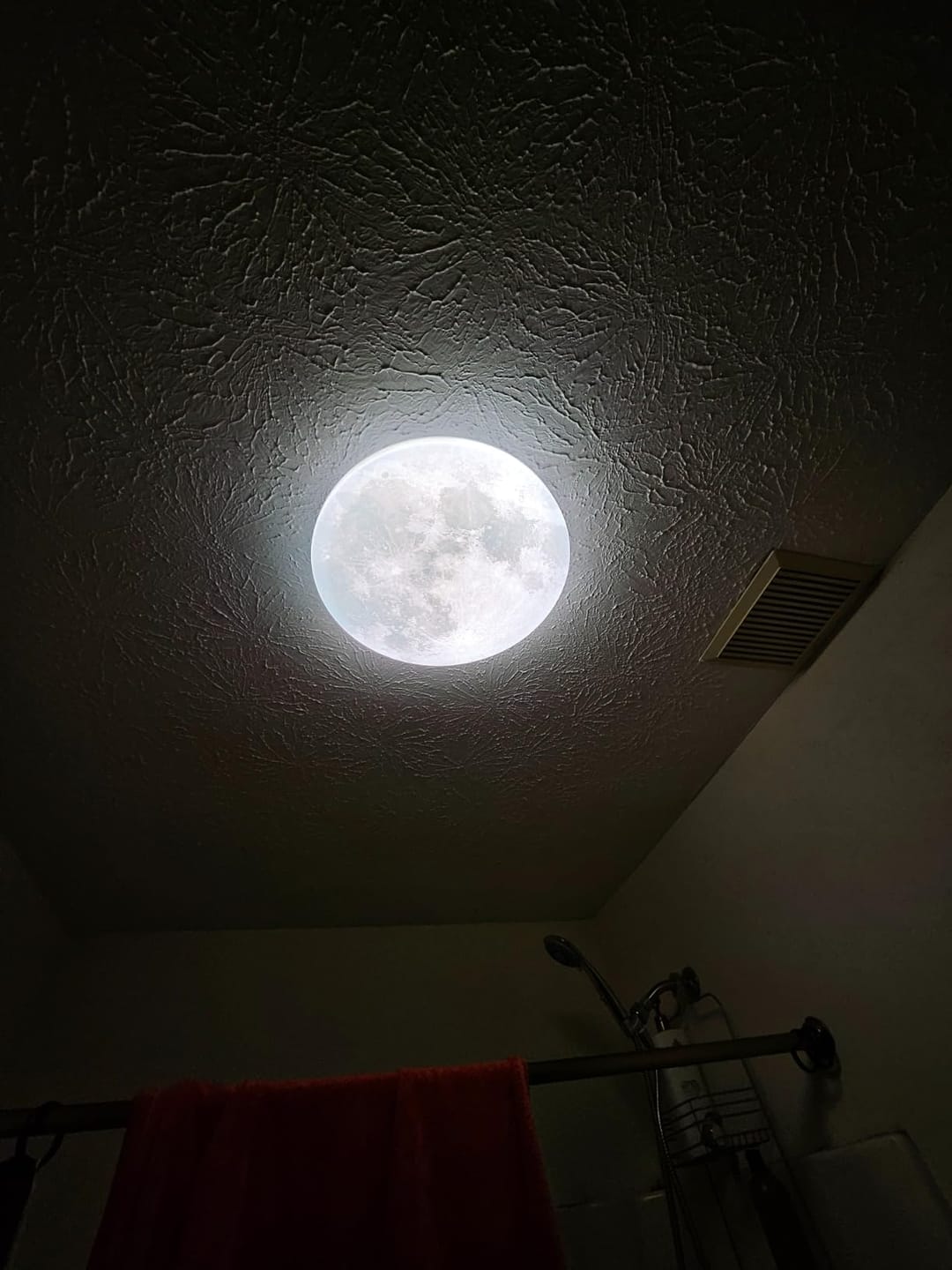 Customer photo review of Moon Ceiling Light | LED Flush Mount with Lunar Diffuser, Wood-Tone Rim | 10.2, 15 or 18.9 in, Dimmable Option