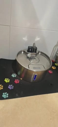 Customer photo review of Motion-Sensor Stainless Steel Pet Fountain