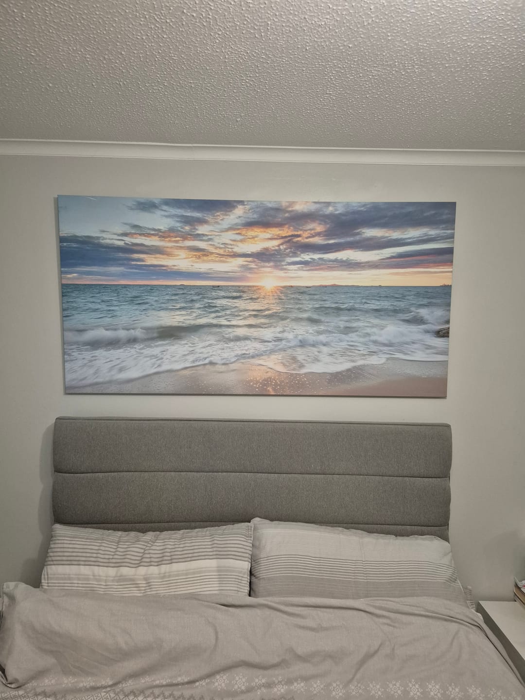 Customer photo review of Shipping Protection