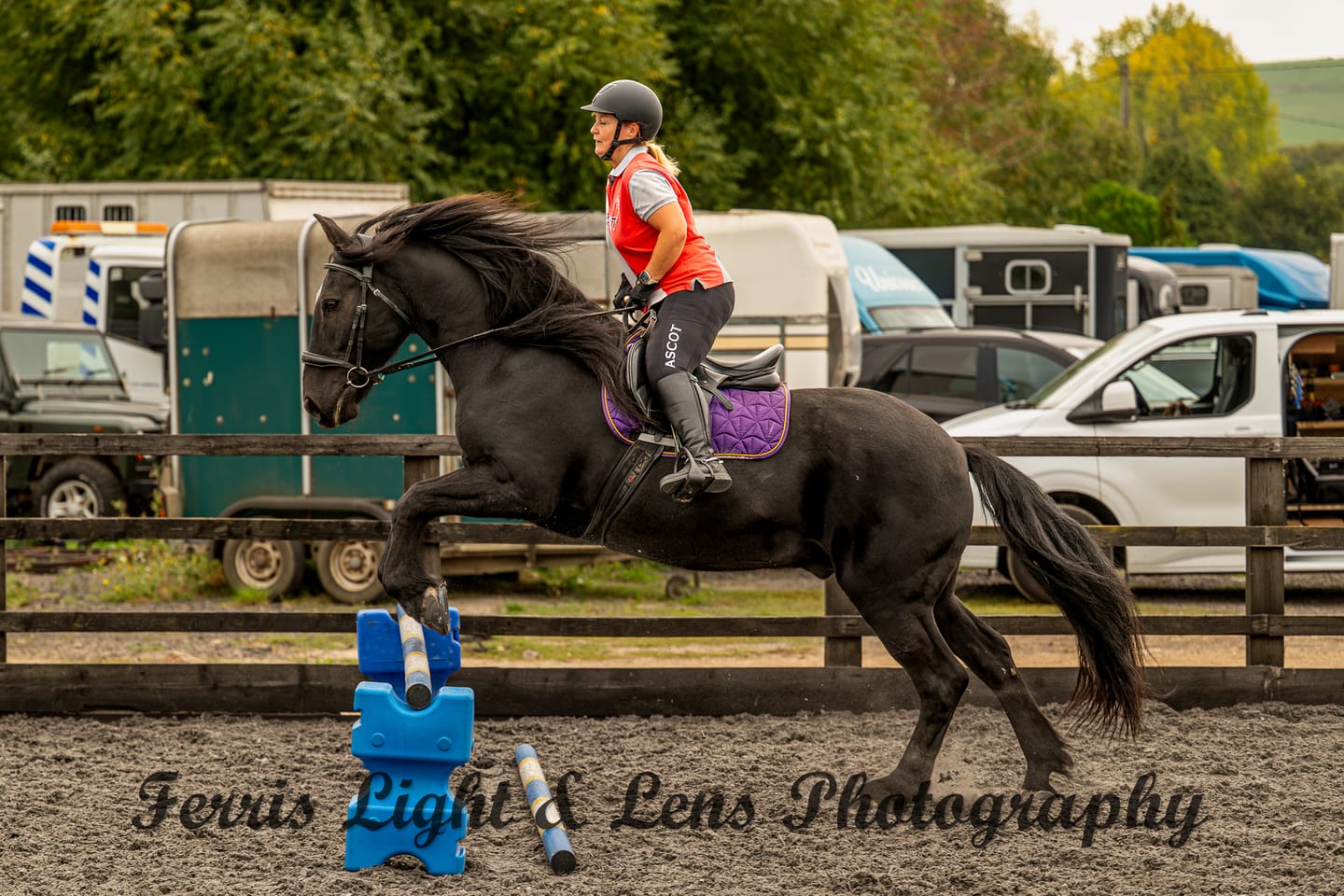 Customer photo review of ProflamAid Plus | Joints, Muscles & Suppleness