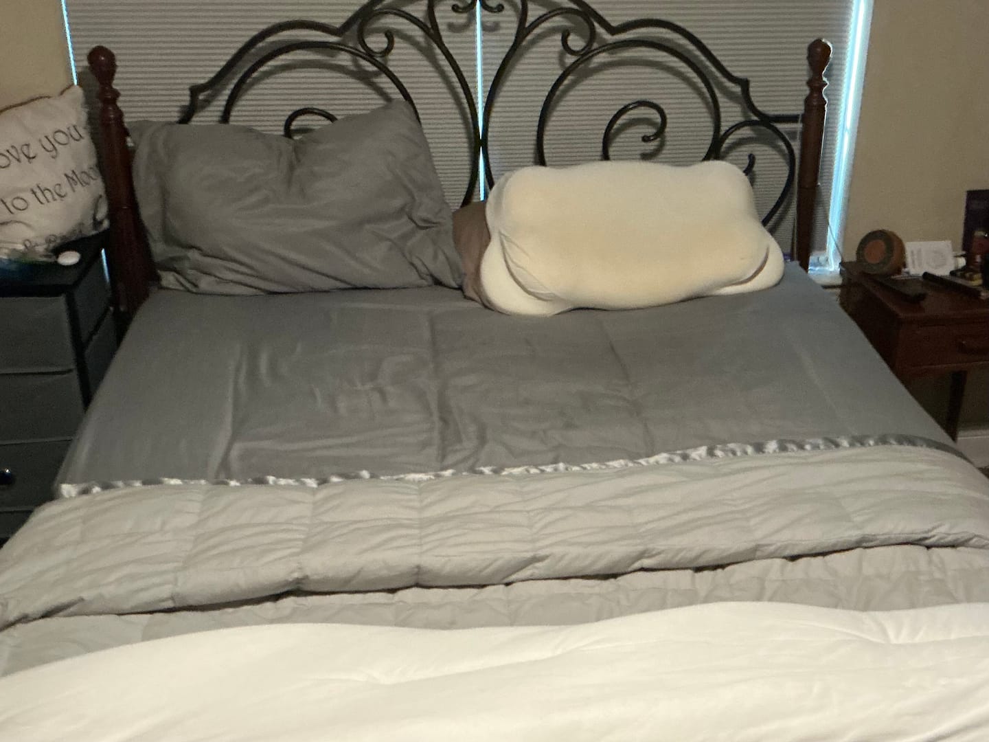 Customer photo review of CloudAlign Pillow