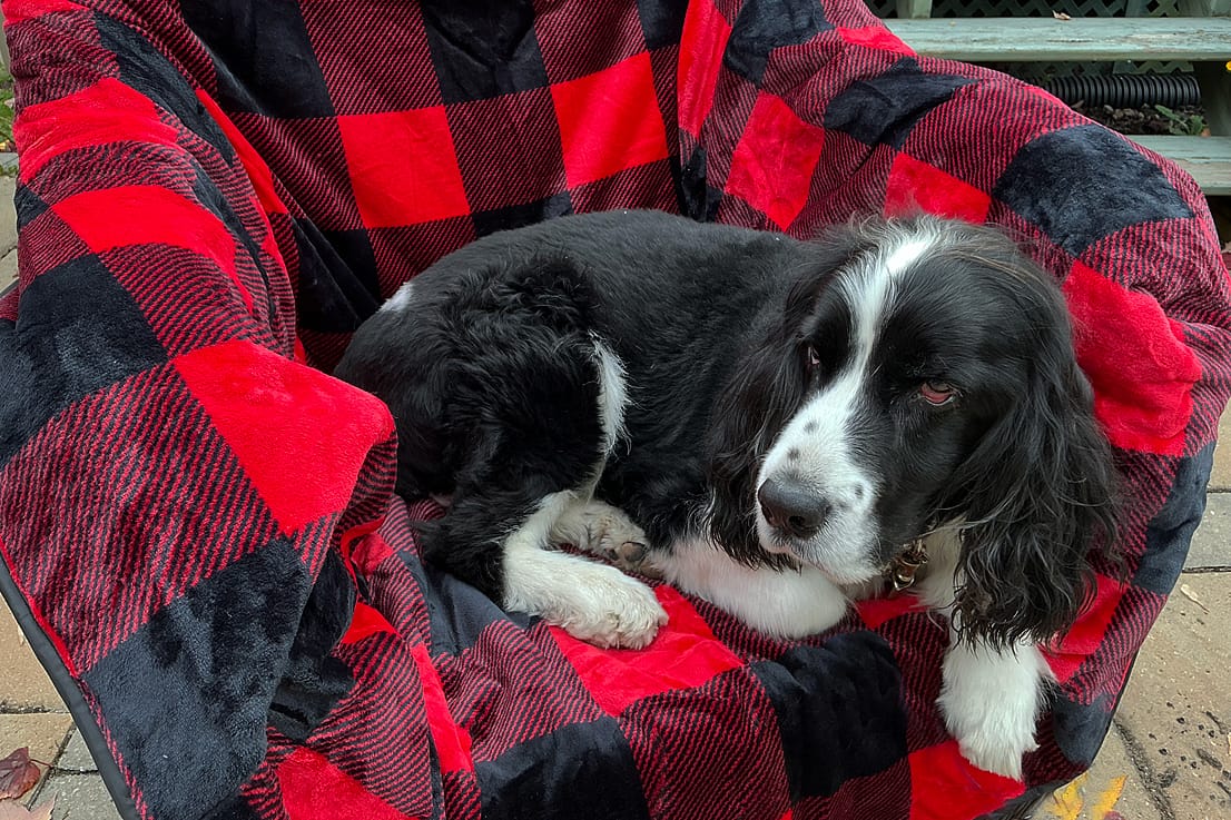 Customer photo review of The Chair Blanket