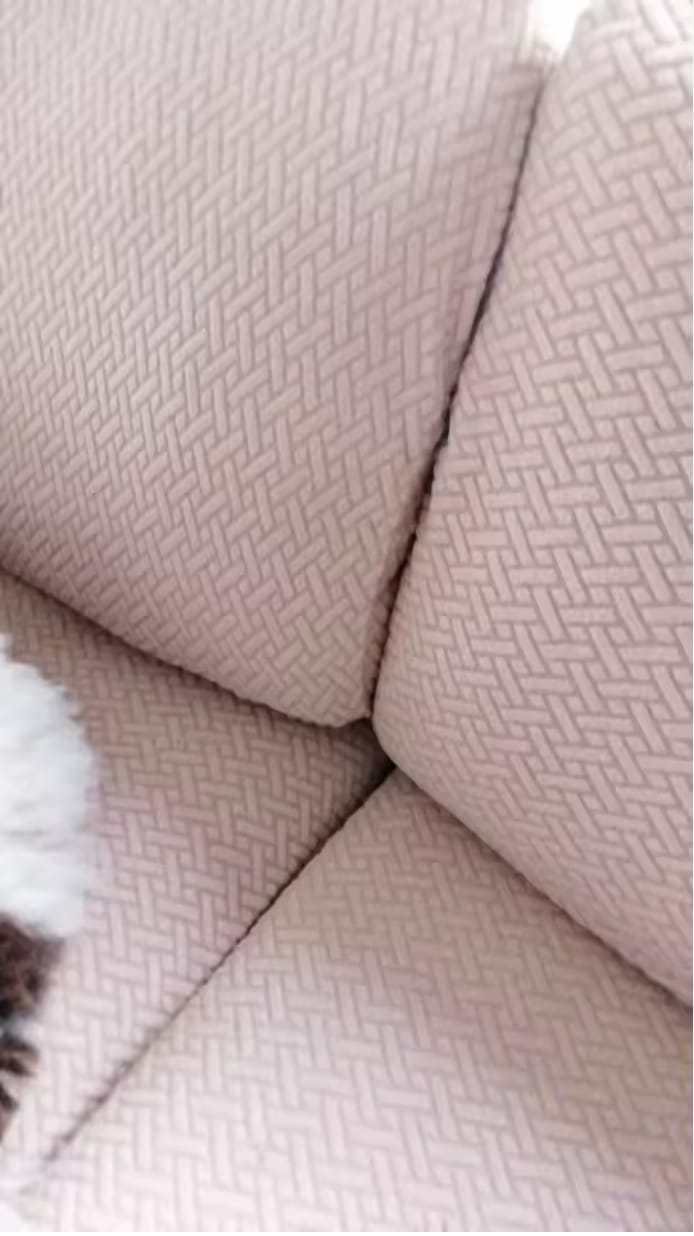 Customer photo review of CouchCloset™ Fundas Mágicas