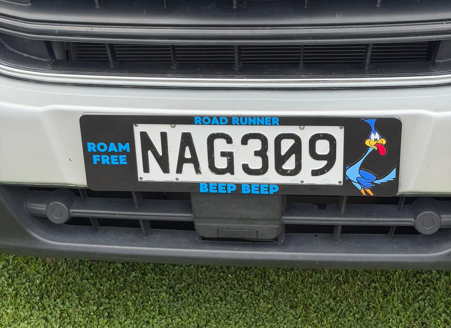 Customer photo review of Custom Plate Frames