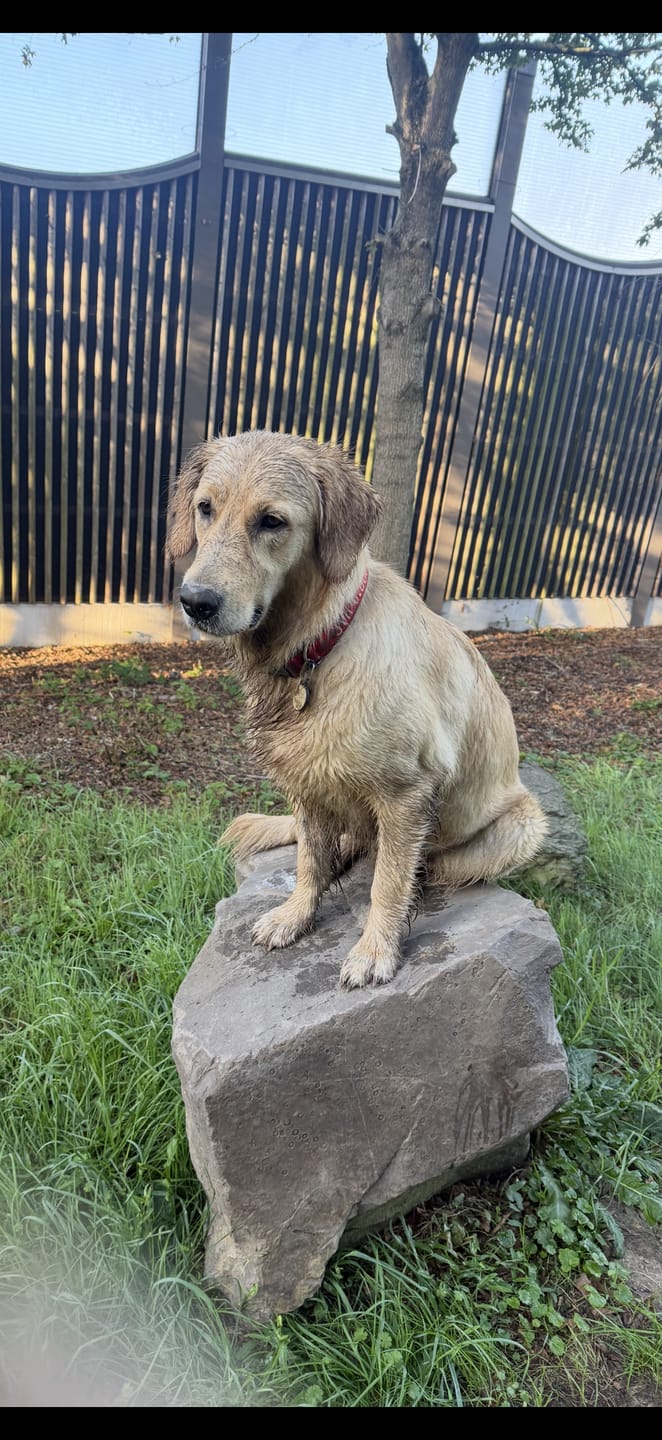 Customer photo review of Wurmtest Plus Hund