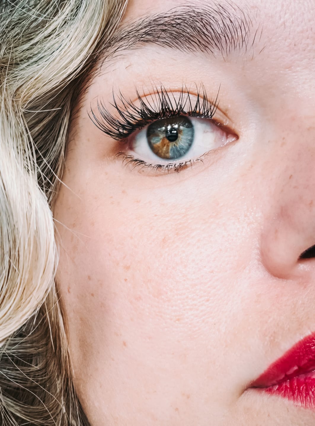 Customer photo review of Venus Lash Kit