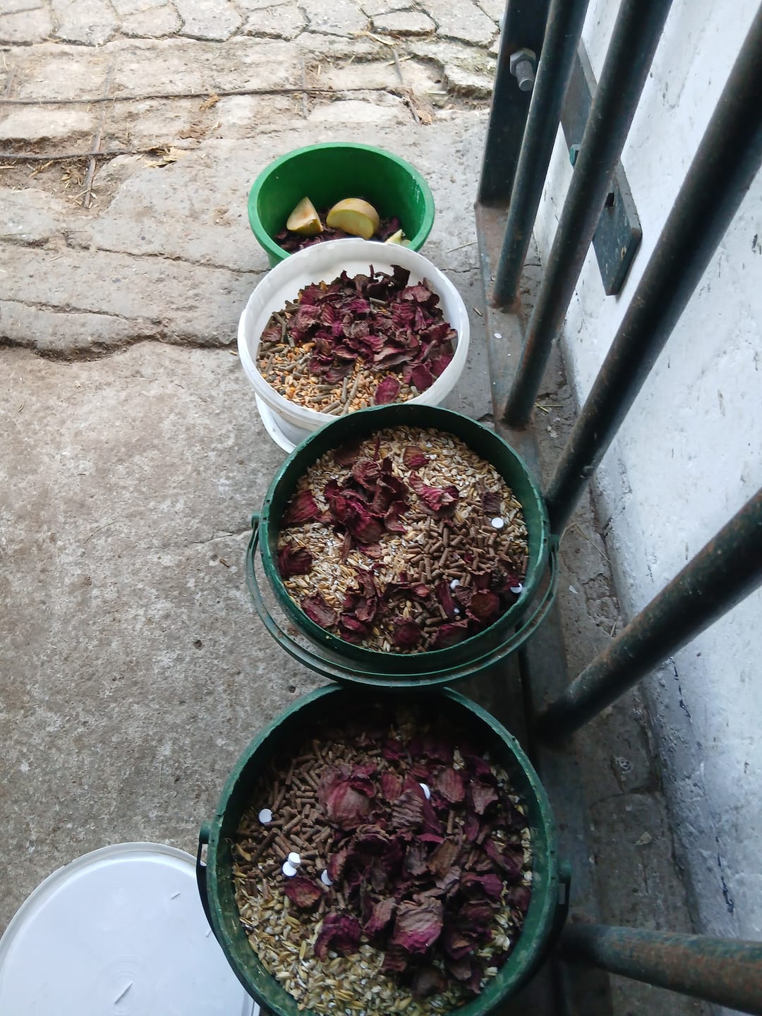Customer photo review of Rote Beete Chips