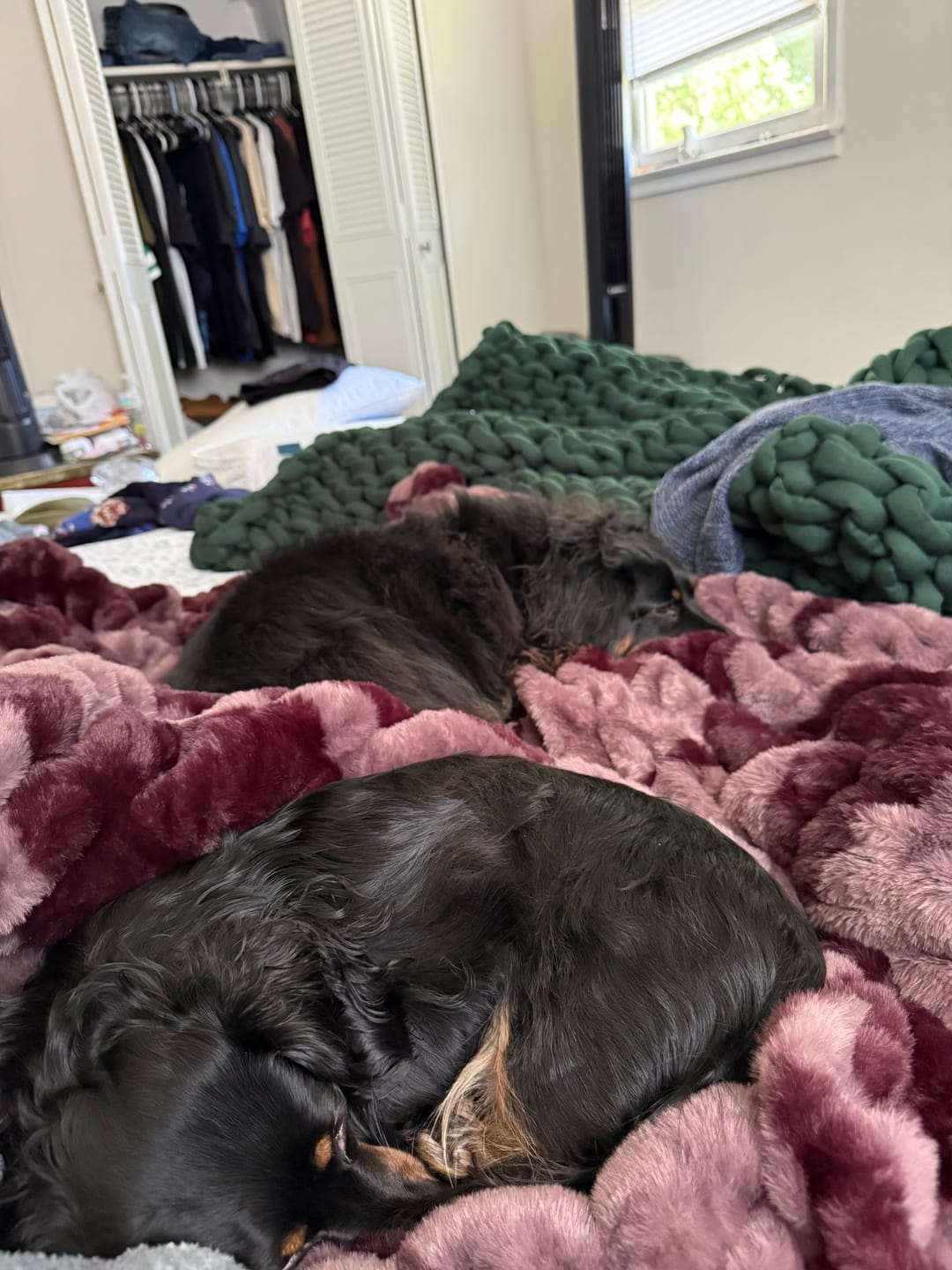 Customer photo review of Hugs Shelby Mulberry Diamond Blanket