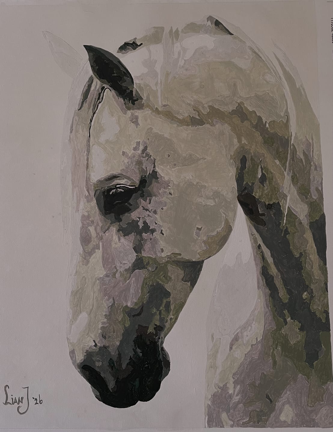Customer photo review of Wit paard