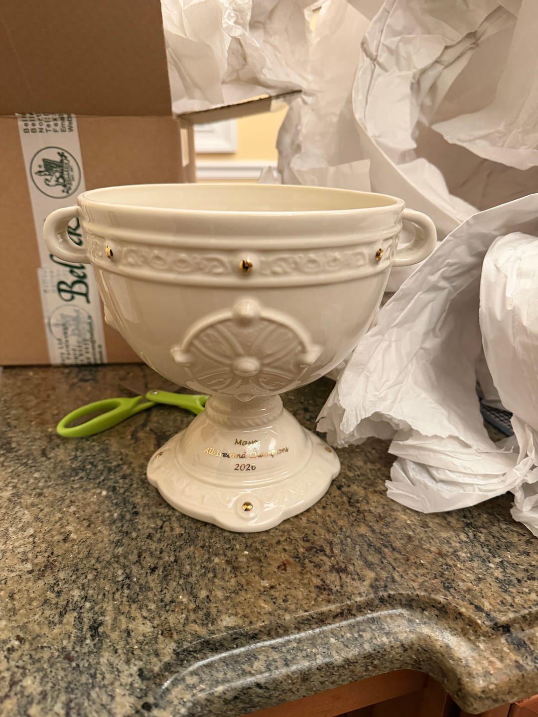 Customer photo review of Belleek Classic Ardagh Trophy - Mayo 2026