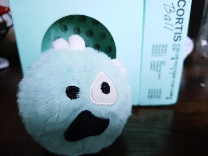 Customer photo review of COLOR OUTSIDE THE LINES Album - CORTIS Ball Ver.