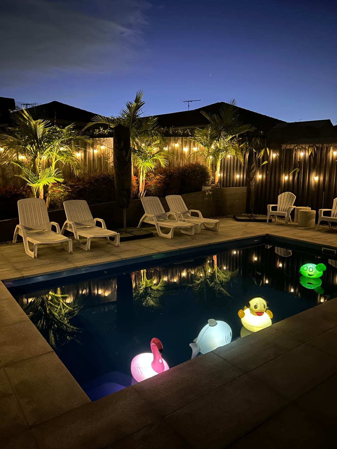Customer photo review of [4 Pack PRESALE] GardenBrite™ Solar Spotlight Pack