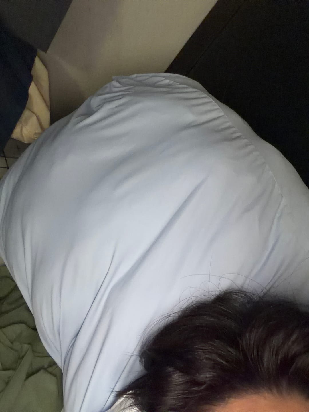 Customer photo review of Ploof Pillow