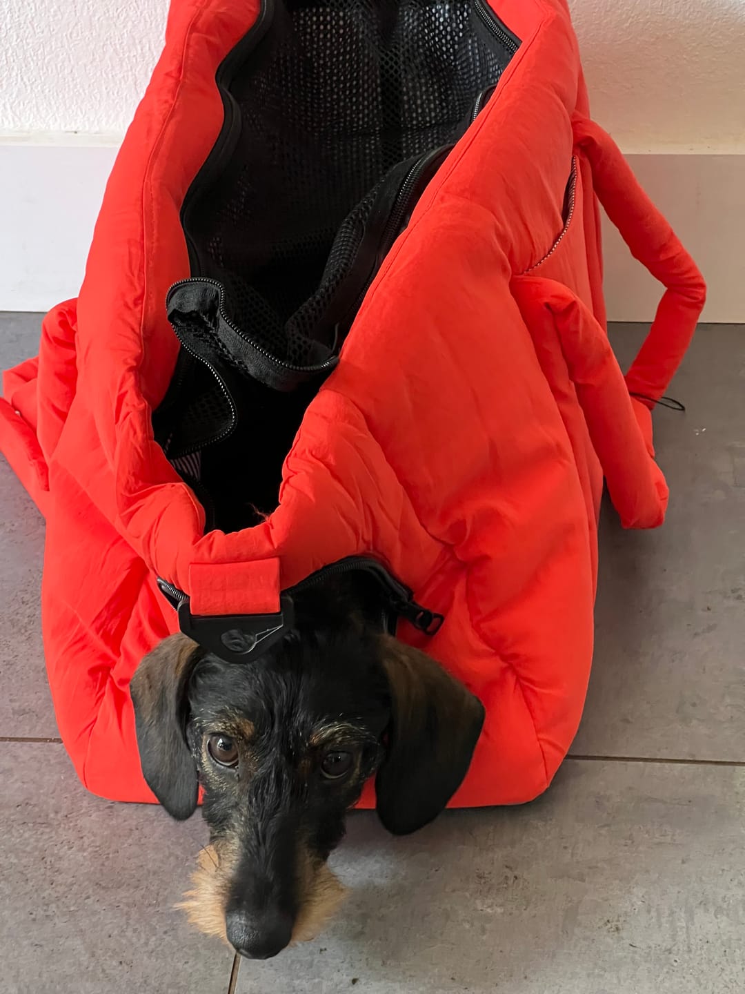 Customer photo review of Sac de voyage orange
