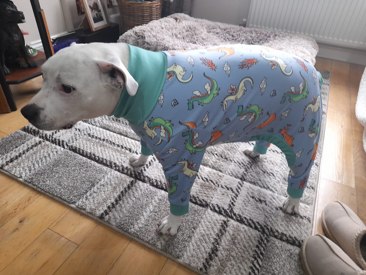 Customer photo review of Dog Pajama - Dragons