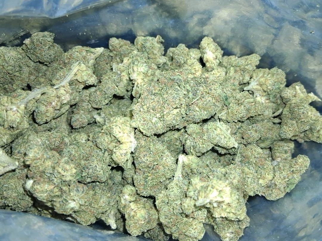 Customer photo review of Light Assist THCA Smalls