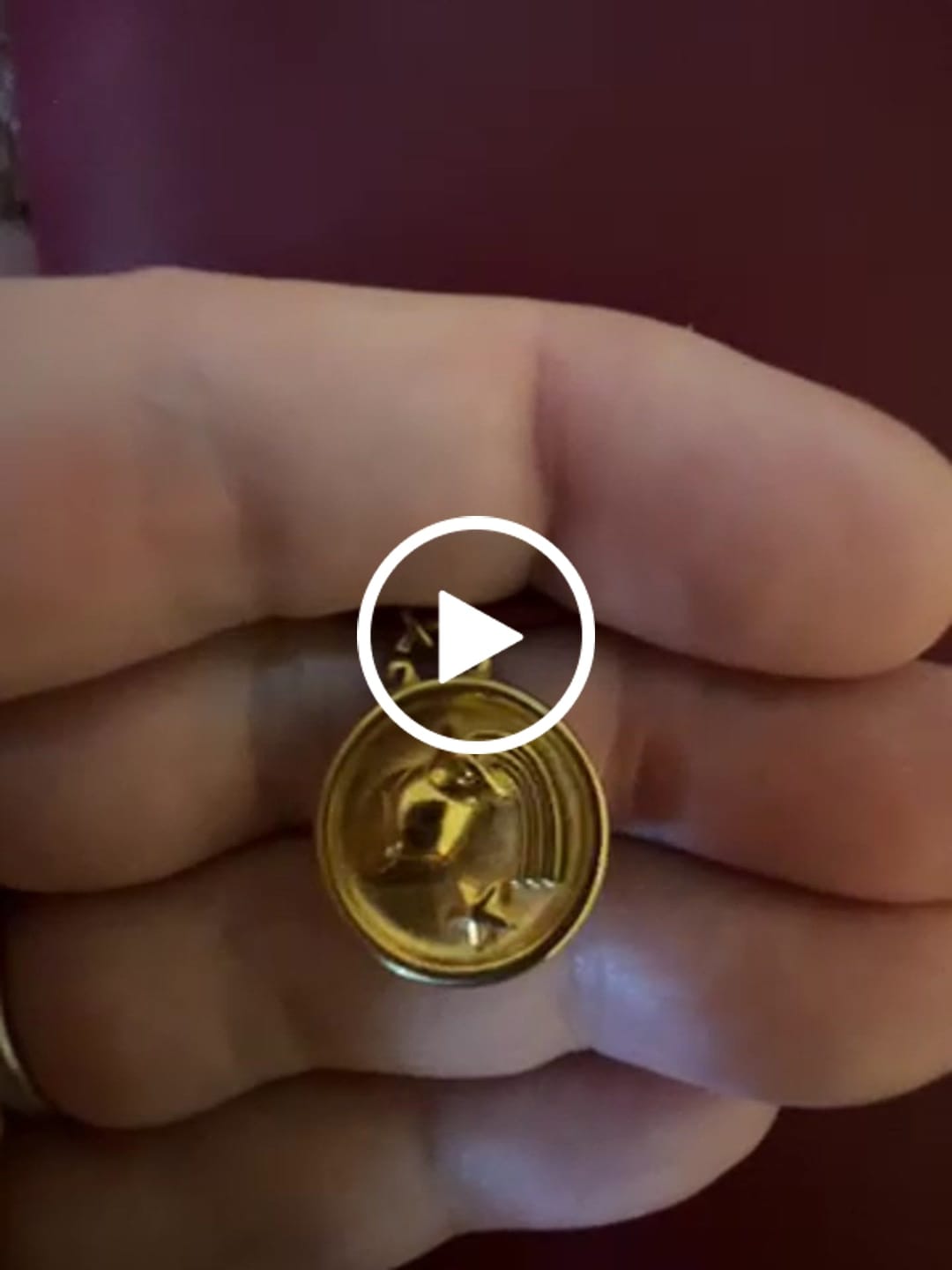 Customer video review of Zodiac Charm -  Aquarius