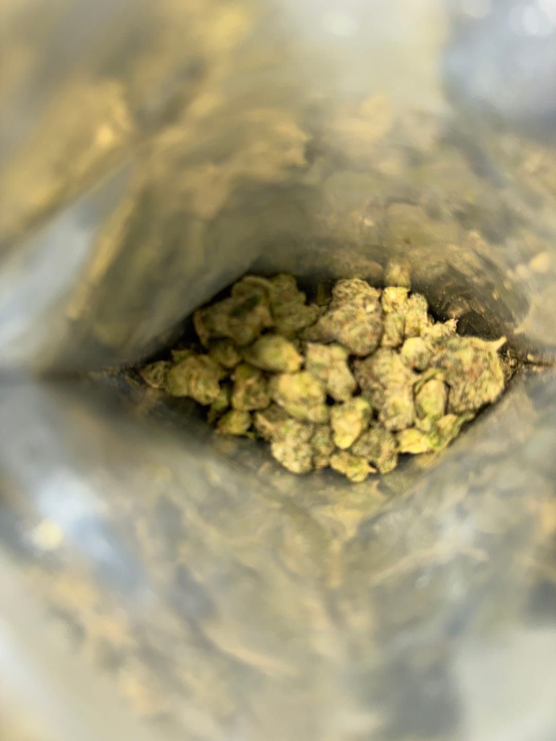 Customer photo review of Cereal Milk THCA Flower (Budget)