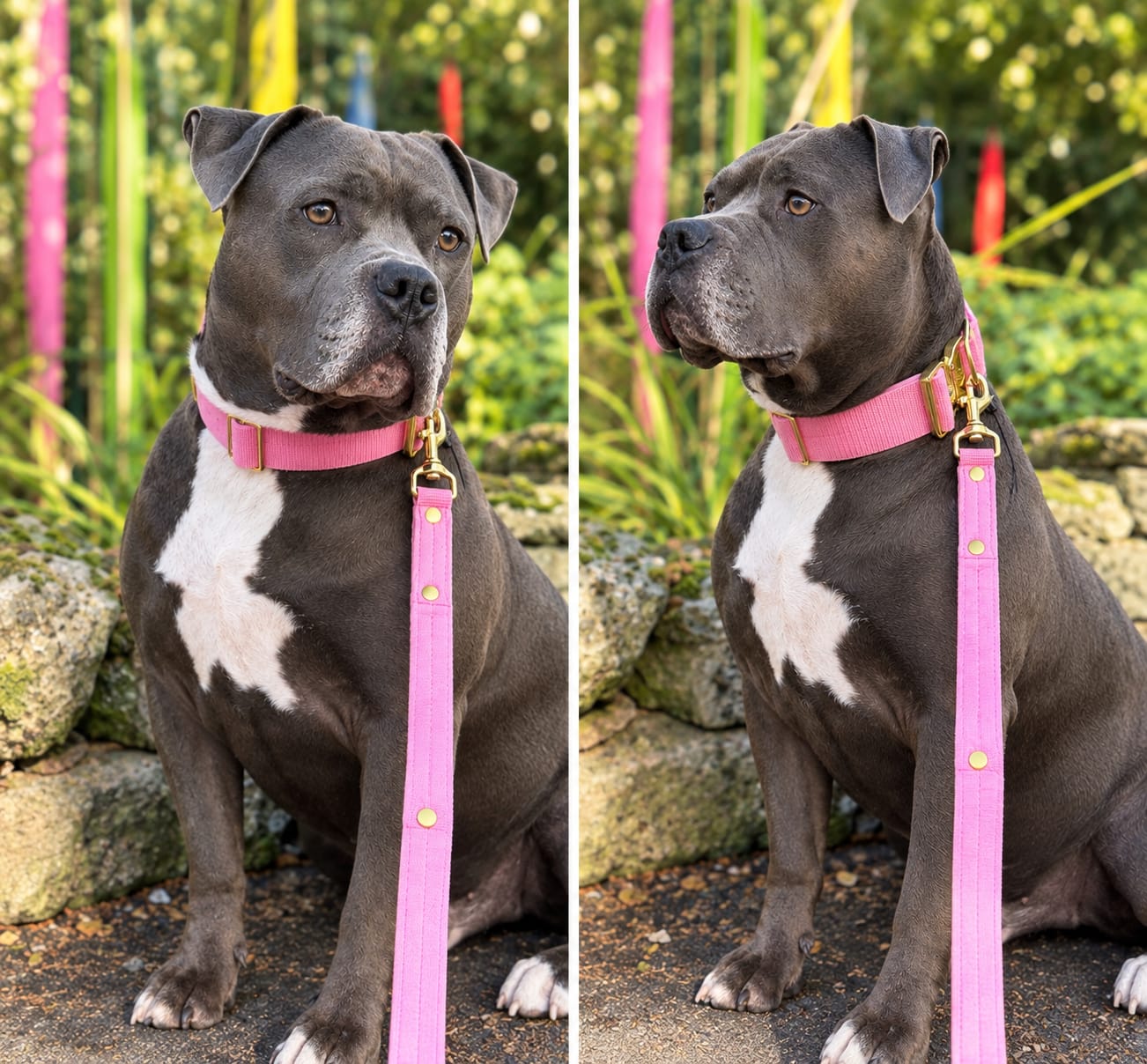 Customer photo review of Multi Guard Leash Rose Edition Candy Pink